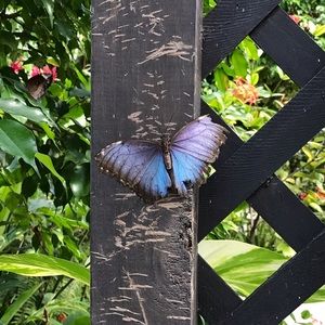 Meet your Posher, Camille